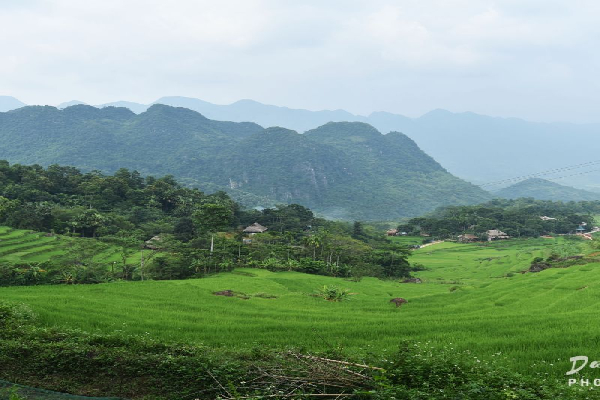 3D 2N Pu Luong Featured Tour: Serenity and Discovery Amidst Nature - photo 10